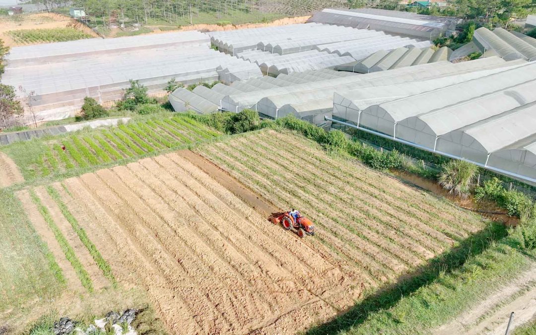 Khoa minh farm đạt chứng nhận hữu cơ chính thức